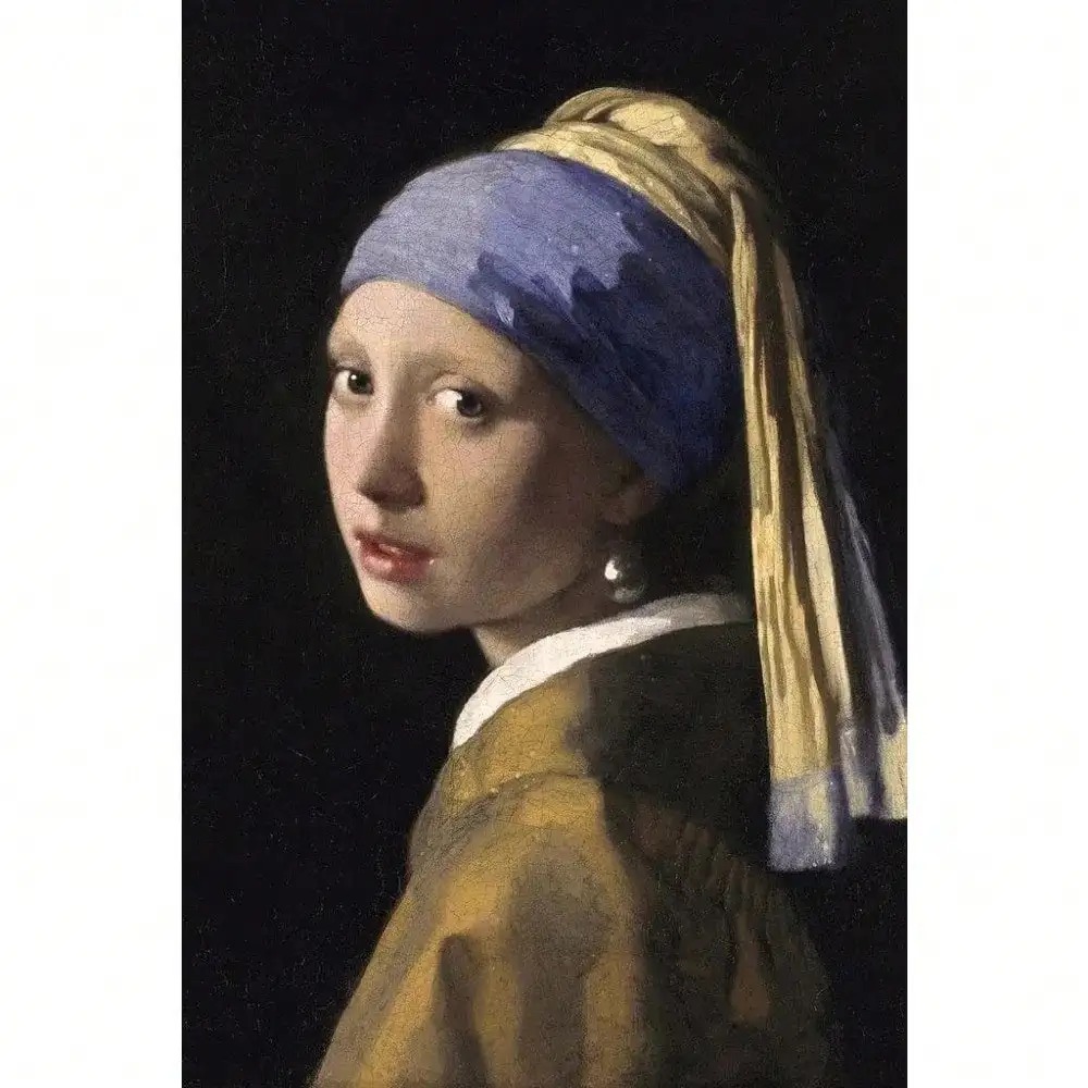 Girl With A Pearl Earring Canv - Canvas Wrap Ready 评论和价格